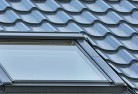 Charles Darwin skylight-replacements.jpg; ?>